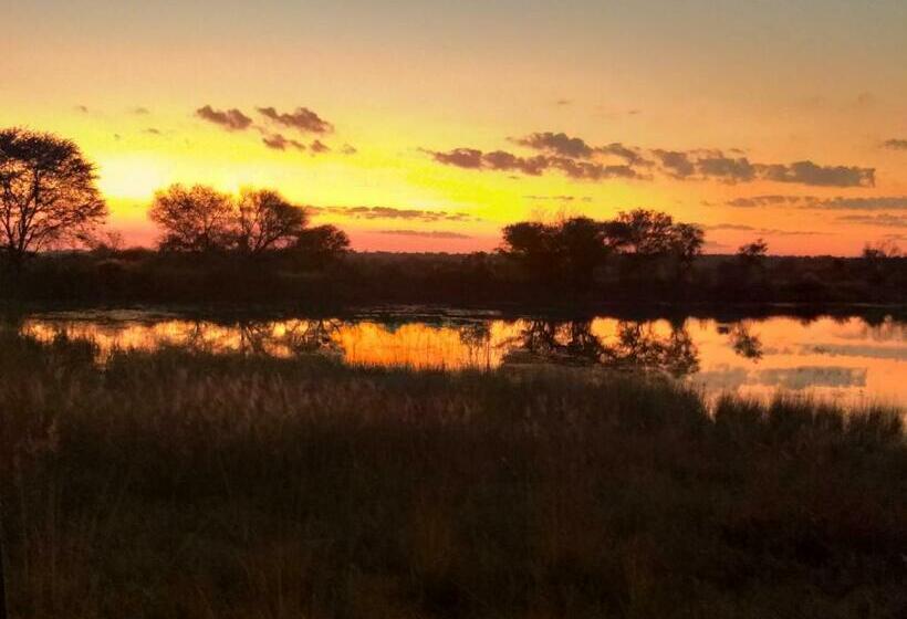 Bushveld Magic