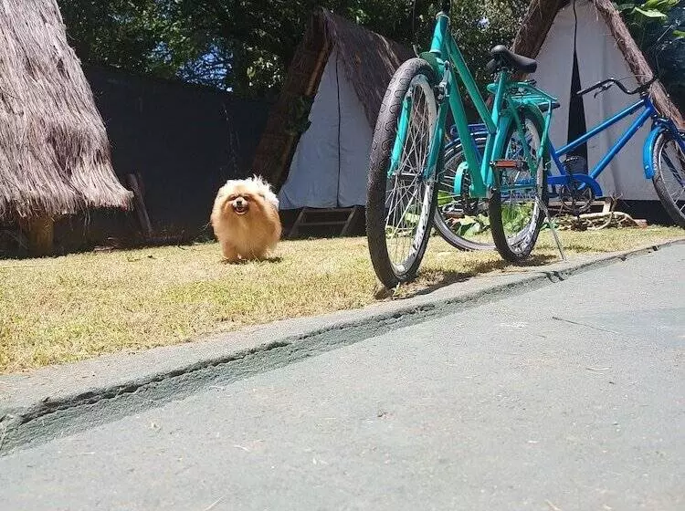 پانسیون Tropical Casa Ubatuba