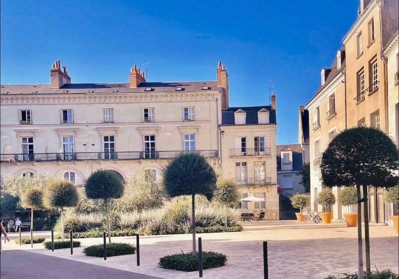 Studio Meublé, En Plein Coeur De Tours