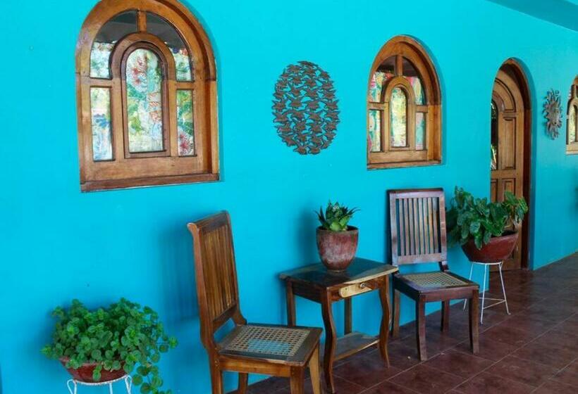 Bed & Breakfast Casa De Los Cocos