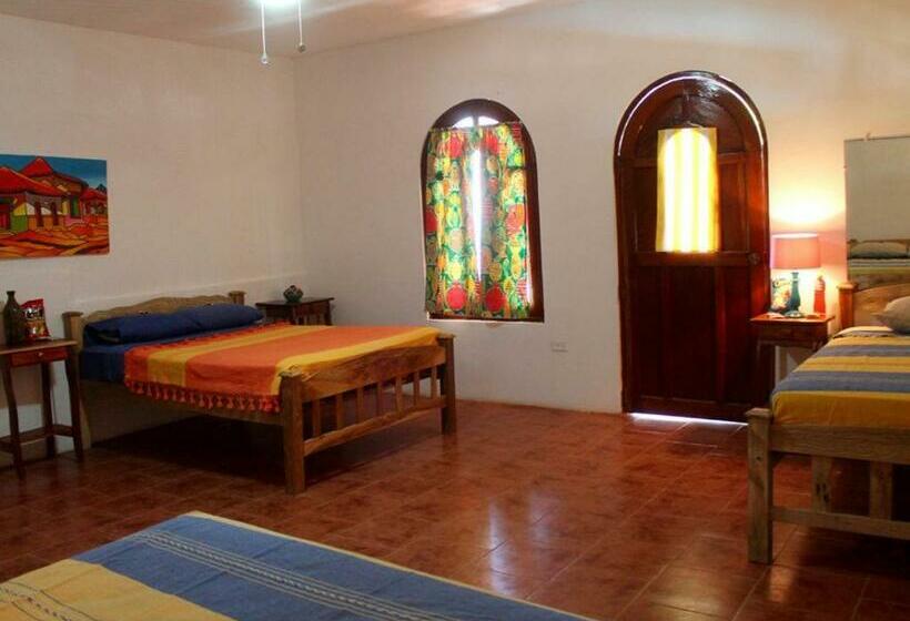 Bed & Breakfast Casa De Los Cocos