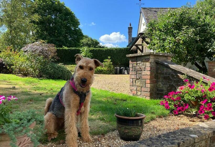 Bed and Breakfast Little Silver