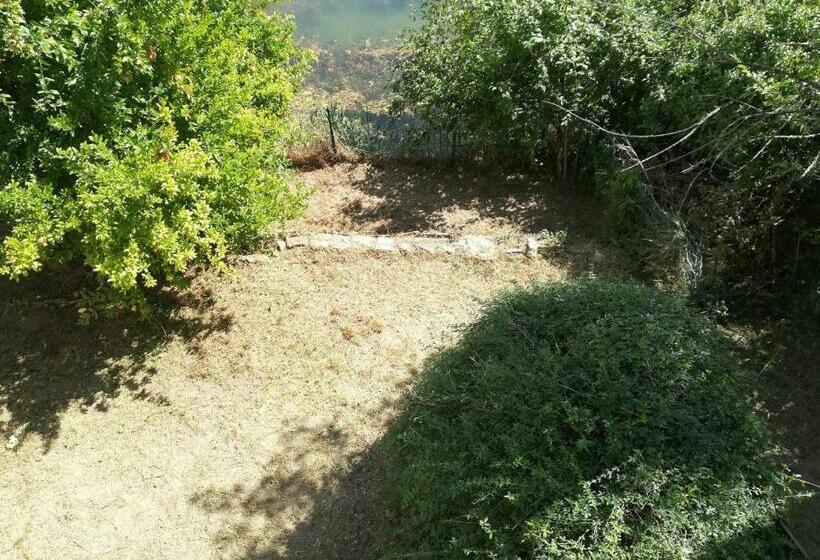 Déjeuner Au Bord De L Eau