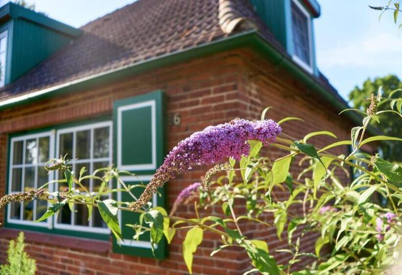 Gemütliches Landhaus In Harmsdorf