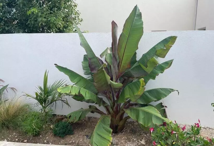 ペンション Maison Lilomel