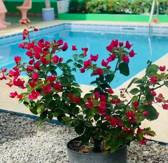 Hotelli La Fiore De Bahia