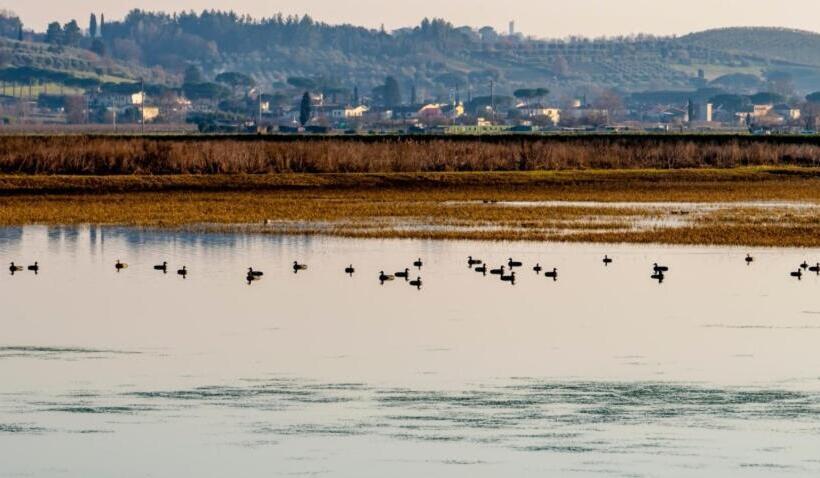 פנסיון Borgo Nuovo Housing