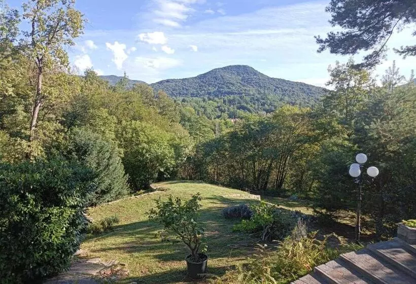 Aamiaismajoitus (B&B) Al Picchio Verde A.p.s