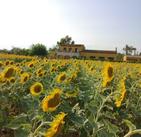 Mas Les Cabretes   Turisme Rural