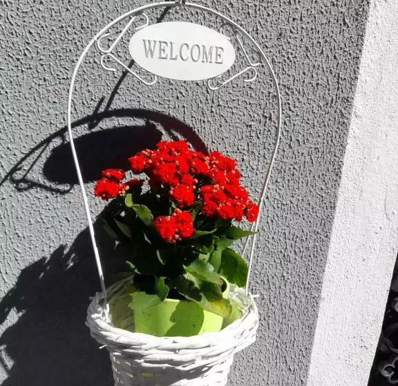 پانسیون Al Pitões