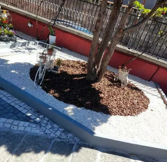 پانسیون Al Pitões