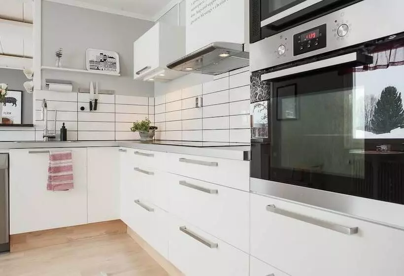 Majatalo Ribo Apartment Arctic