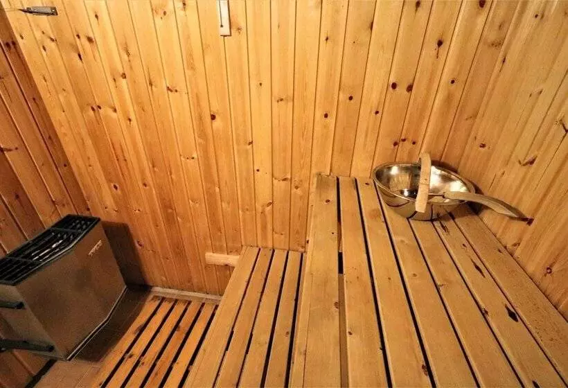 Majatalo Ribo Apartment Arctic