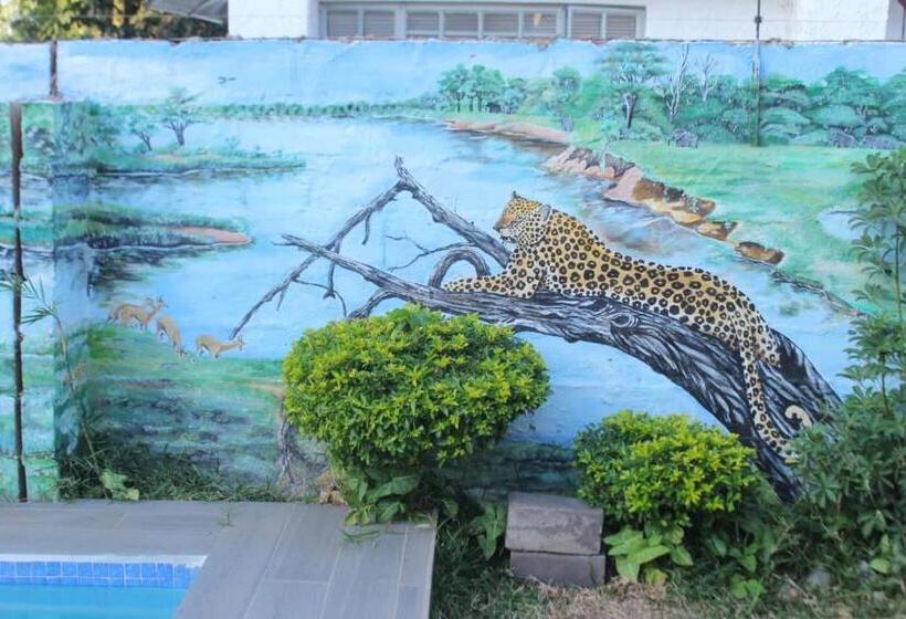 بنسيون Universe Guesthouse