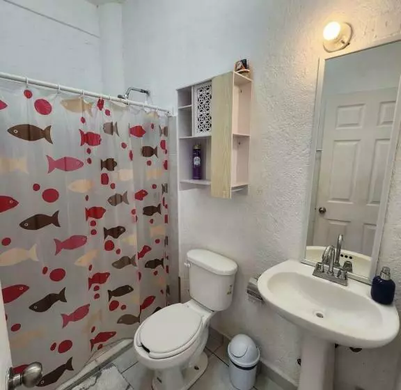 1 Br Apt With Ac , Tv , Wi Fi Near Dt And Beach