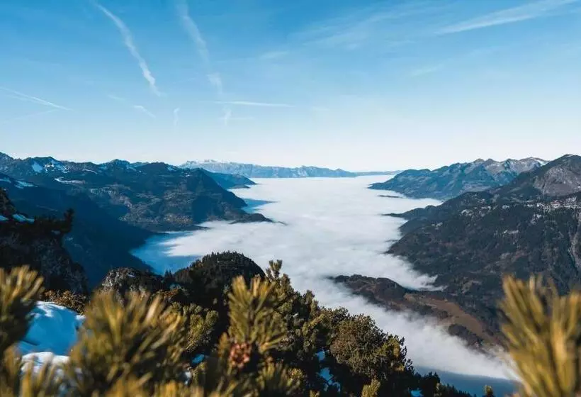 Felbermayer Hotel & Alpinespa   Montafon