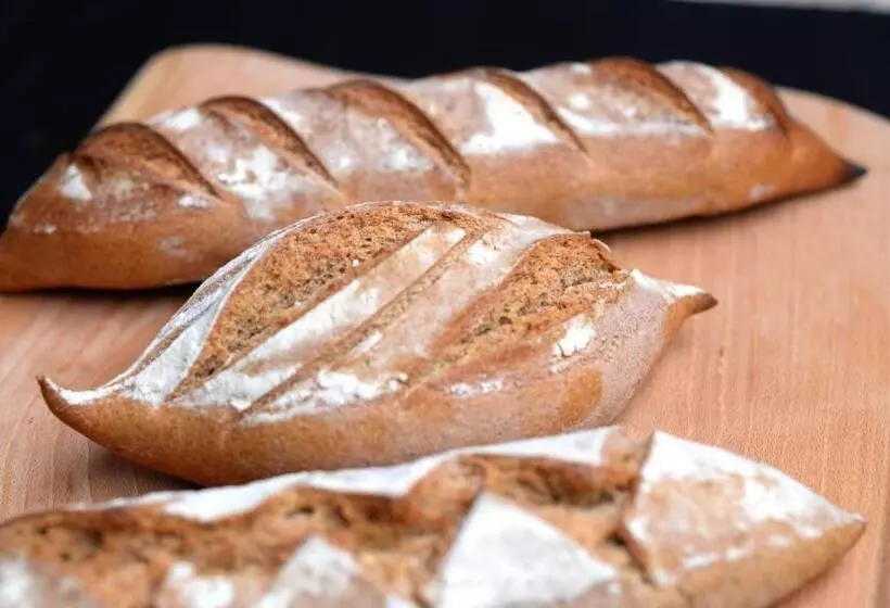 Felbermayer Hotel & Alpinespa   Montafon