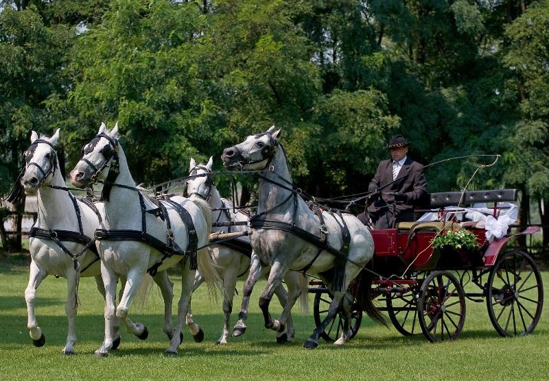 Geréby Kúria Hotel és Lovasudvar