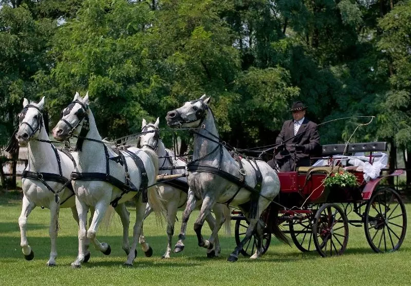Geréby Kúria Hotel és Lovasudvar