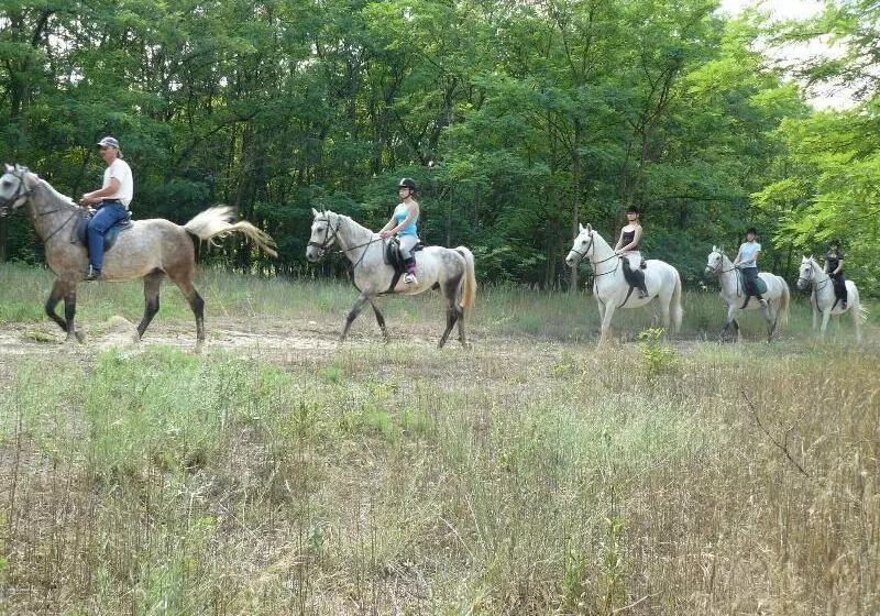 Geréby Kúria Hotel és Lovasudvar
