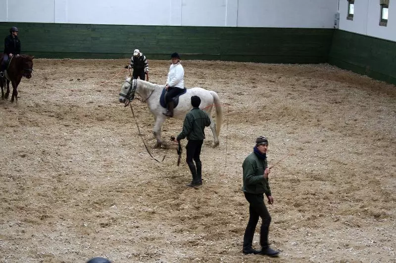 Geréby Kúria Hotel és Lovasudvar