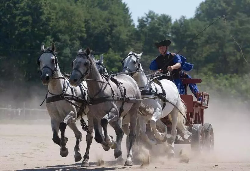 Geréby Kúria Hotel és Lovasudvar