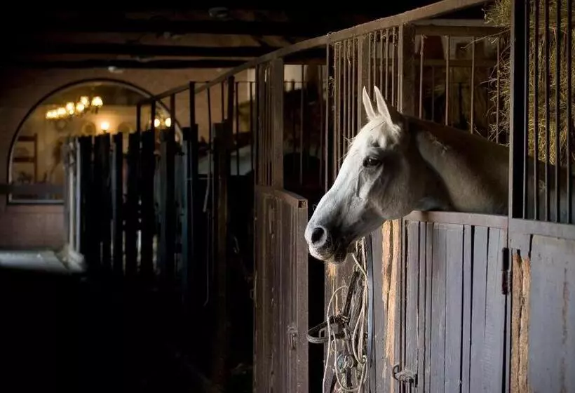 Geréby Kúria Hotel és Lovasudvar