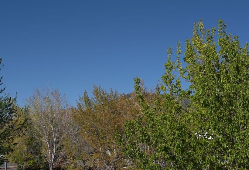 בית מלון כפרי Big Yellow Inn