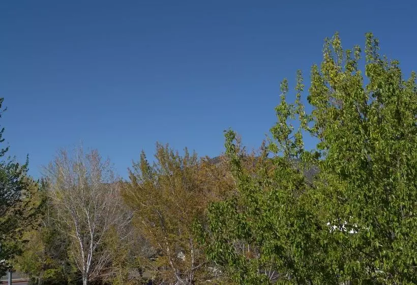 בית מלון כפרי Big Yellow Inn