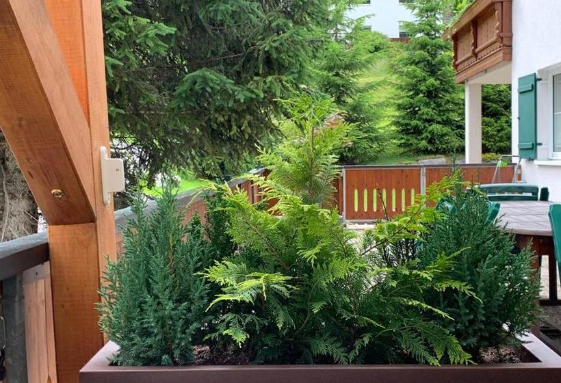 Отель Das Bürstegg