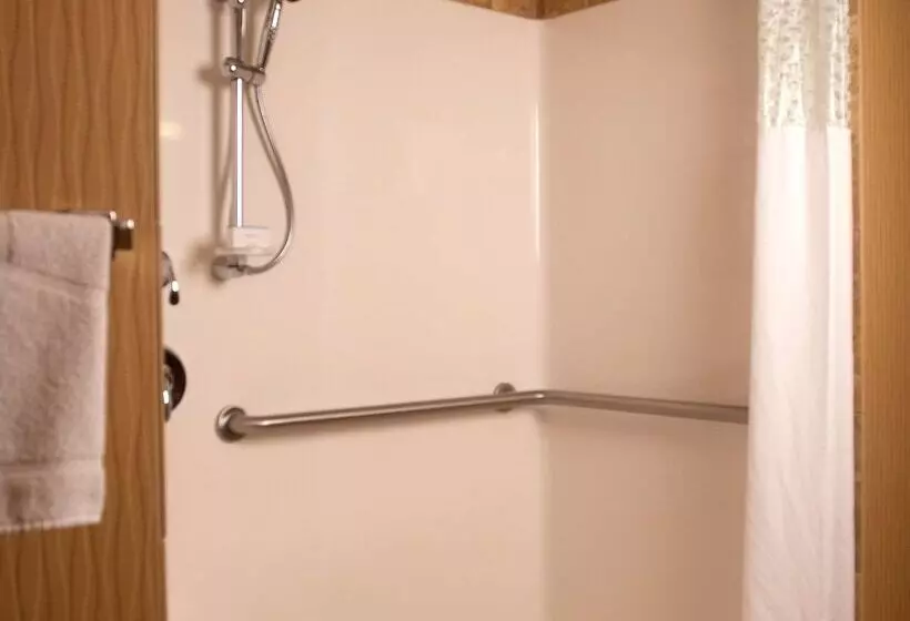 Отель Hampton Inn Tomah