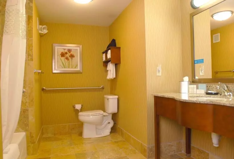 Отель Hampton Inn Tomah