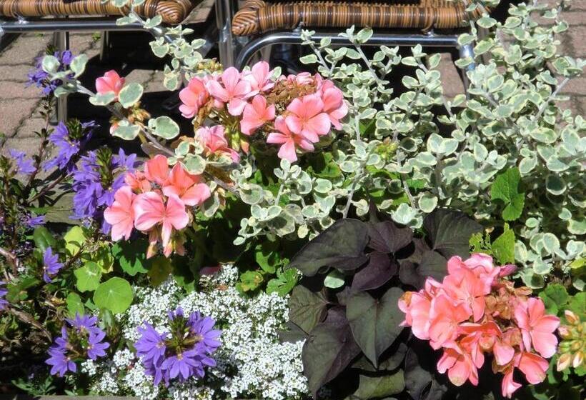 בית מלון כפרי Hôtel La Vallée