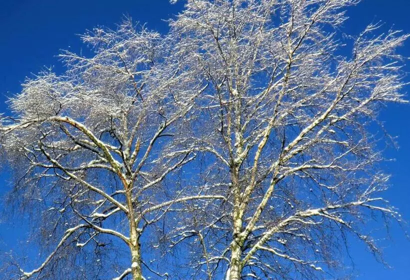 هتل Hôtel La Vallée