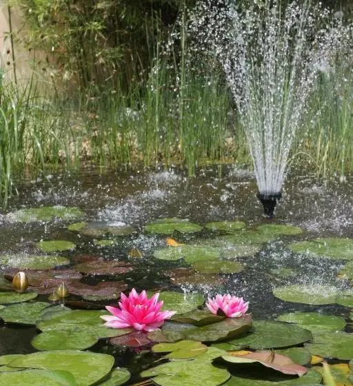 Отель élet Es Energia Egészségjavító Szalon