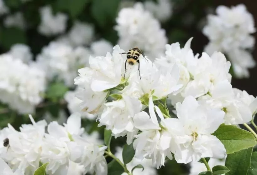 Отель élet Es Energia Egészségjavító Szalon