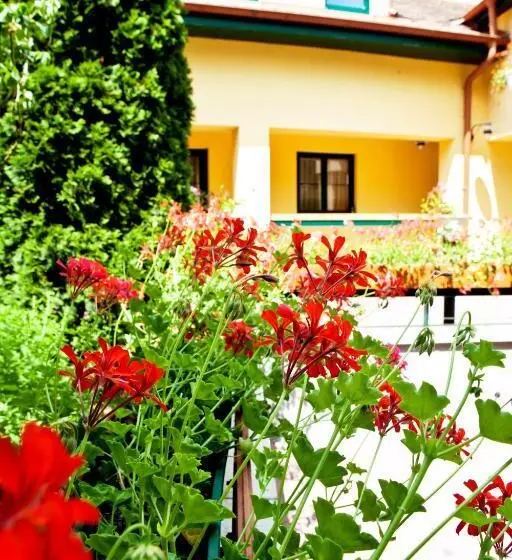 فندق Mathias Rex