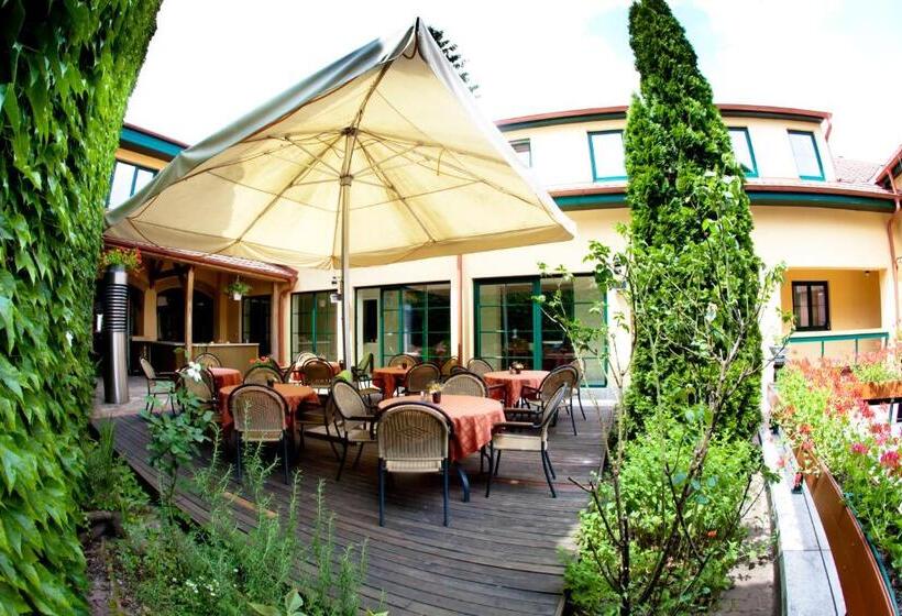 فندق Mathias Rex