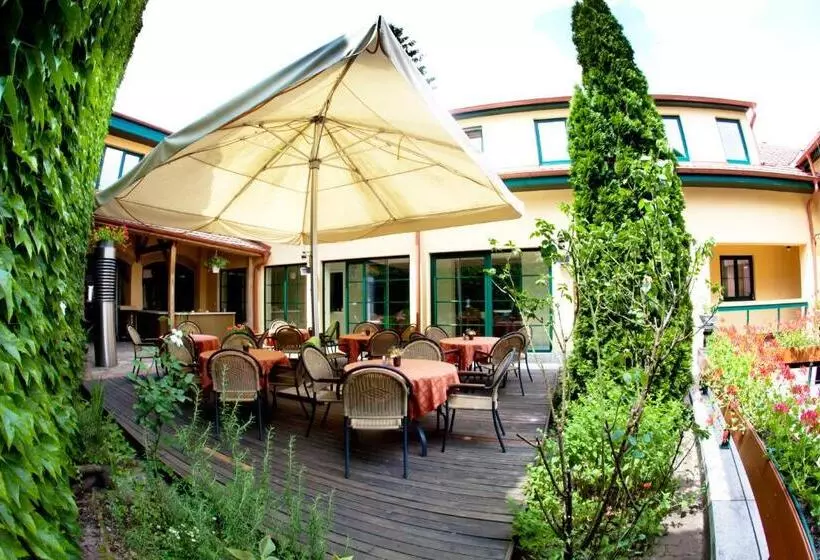 فندق Mathias Rex