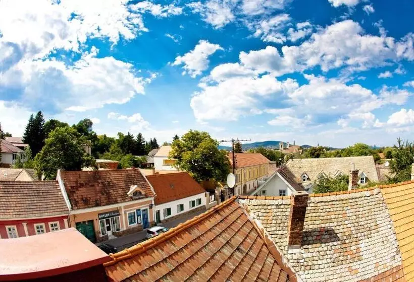 فندق Mathias Rex