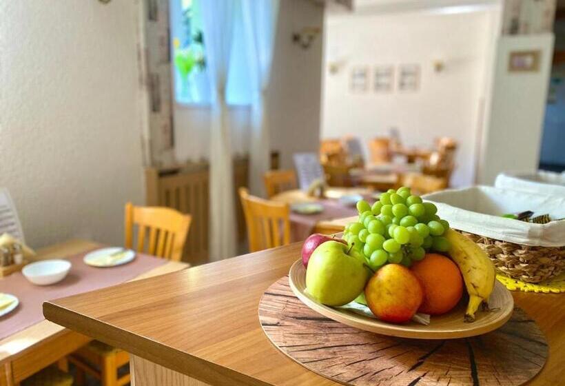 בית מלון כפרי Penzión Tiberia