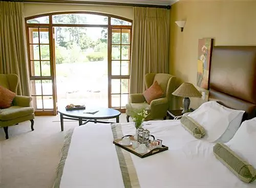 Thelab Cape Town | Tarragona