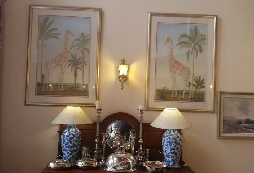 Thelab Cape Town | Tarragona