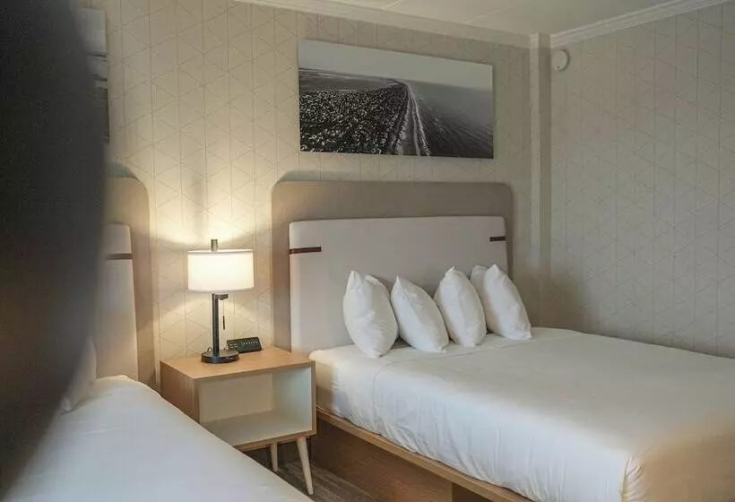 ホテル The Boulevard