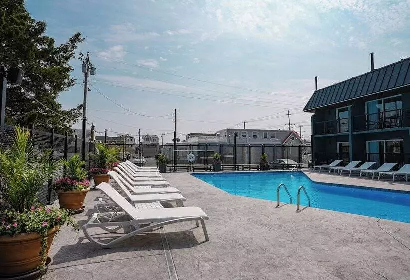 ホテル The Boulevard