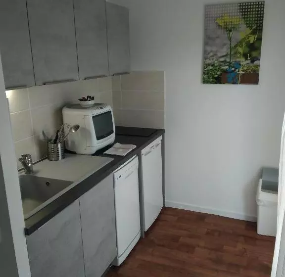 Residence Carouge Appart