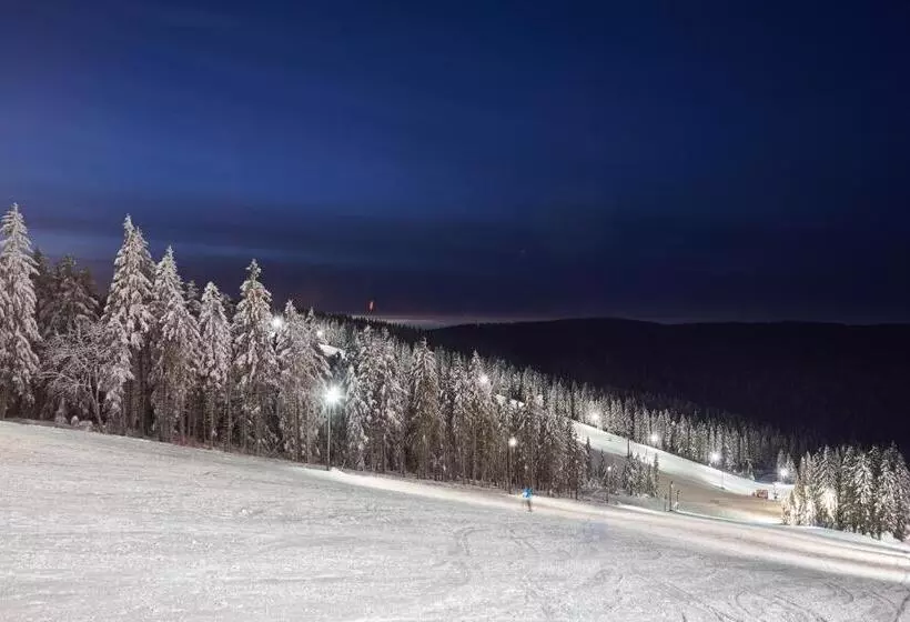 Terme Zrece   Hotel Vital