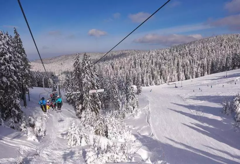 Terme Zrece   Hotel Vital