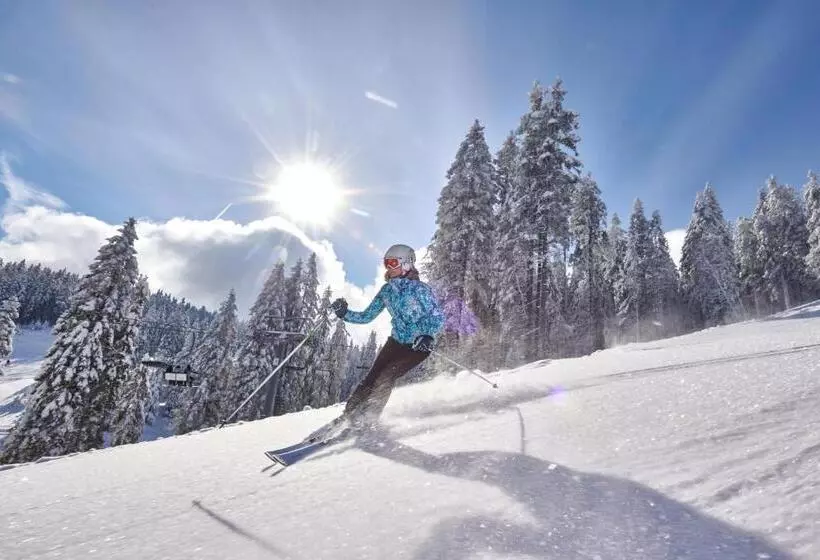 Terme Zrece   Hotel Vital