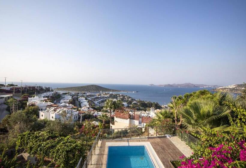 House With Amazing Sea View And Pool In Gumusluk